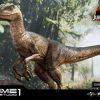 Products Prime 1 Studio Movie & Tv | Velociraptor