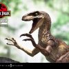 Products Prime 1 Studio Movie & Tv | Velociraptor